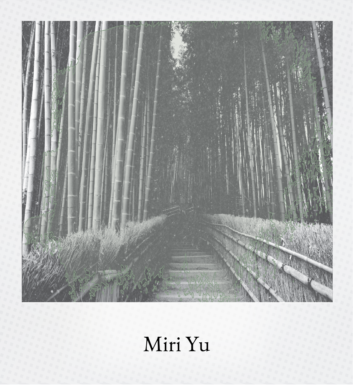 Forest Hover